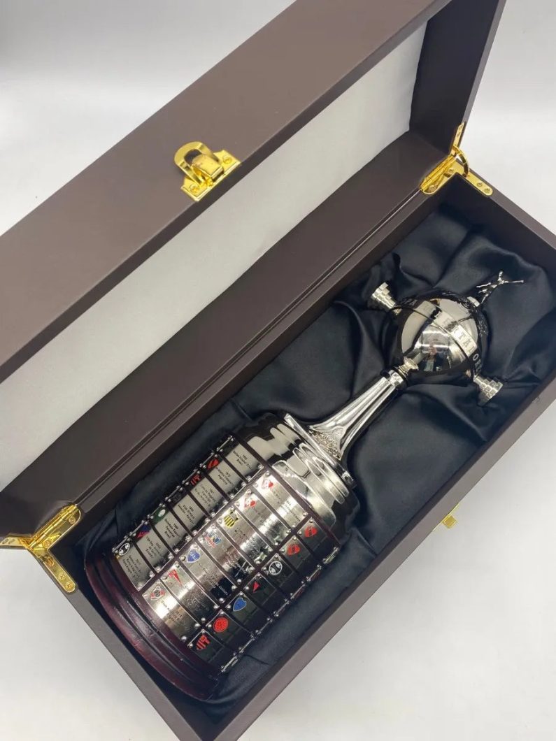 Copa Libertadores 38Cm Replica Oficial