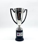 COPA PLAN VITAL REPLICA OFICIAL COLO COLO 20 CM