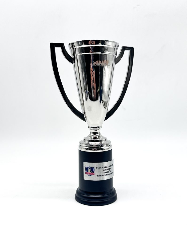 COPA PLAN VITAL REPLICA OFICIAL COLO COLO 20 CM